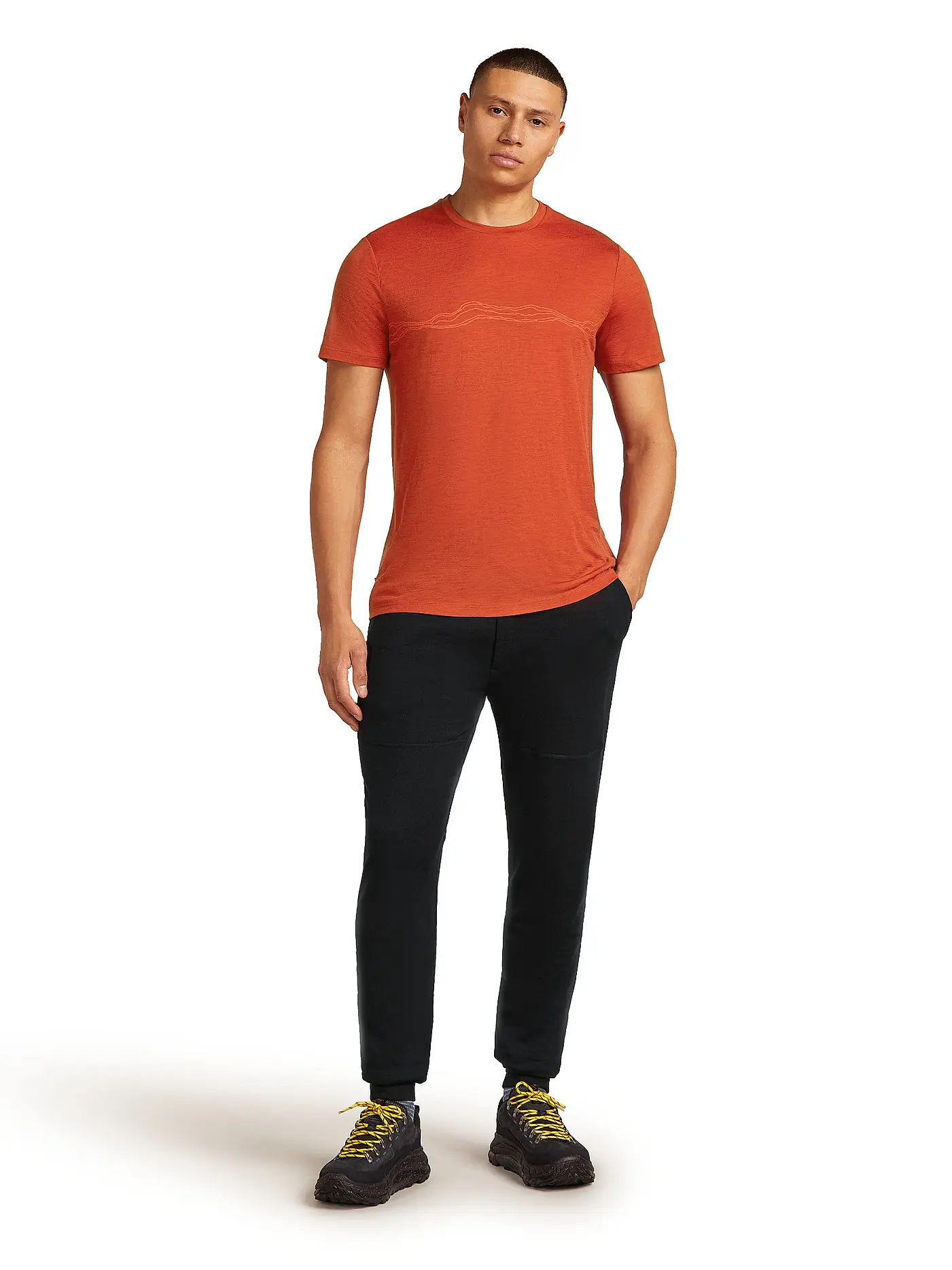 ICEBREAKER | Herren Funktionsshirt Mount Pulse 150 Tech | 